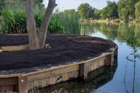 curved wooden bulkhead with fresh mulch and trees