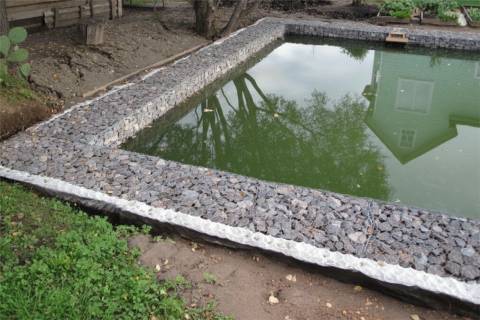 gabion pond edging structure