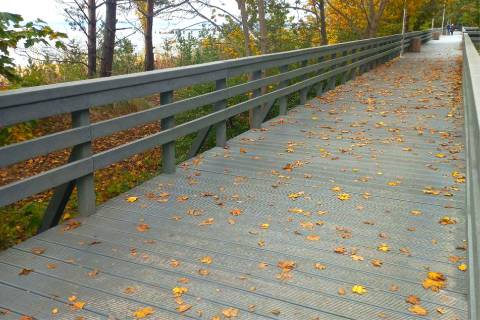 composite bridge boardwalk park walkway autumn